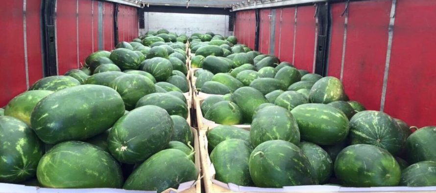 Supermarkt in Arnhem stunt met 28.000 kilo aan watermeloenen